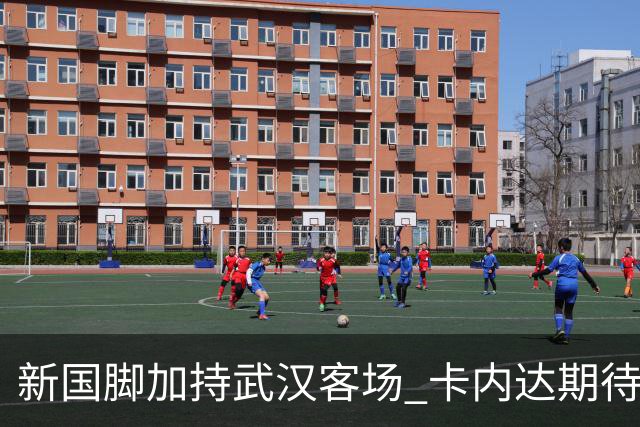 新国脚加持武汉客场 卡内达期待锋线发力 绿城要亮剑